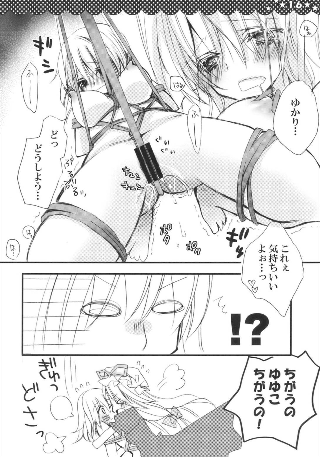 魔女の美しい友情の話 -妖夢の八雲紫駆除日記- 16ページ