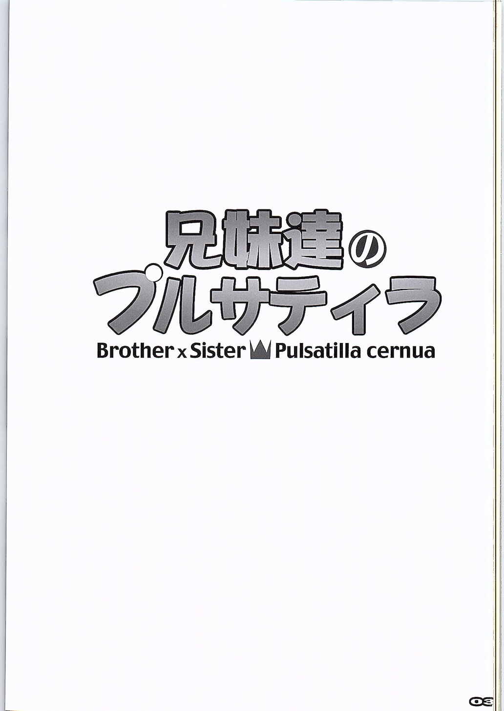 兄妹達のプルサティラ 2ページ