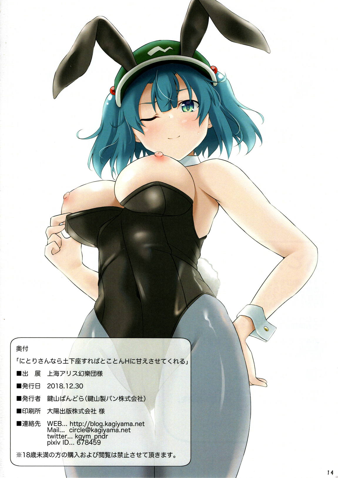 にとりさんなら土下座すればとことんHに甘えさせてくれる 13ページ