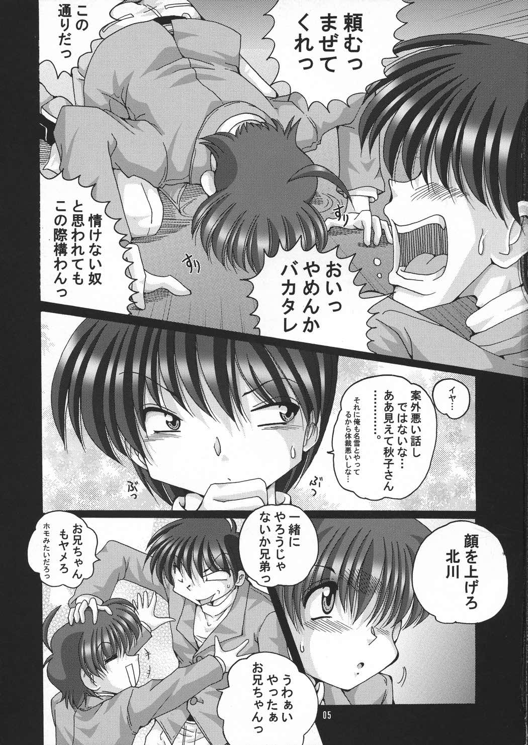 V-TIC 41 4ページ