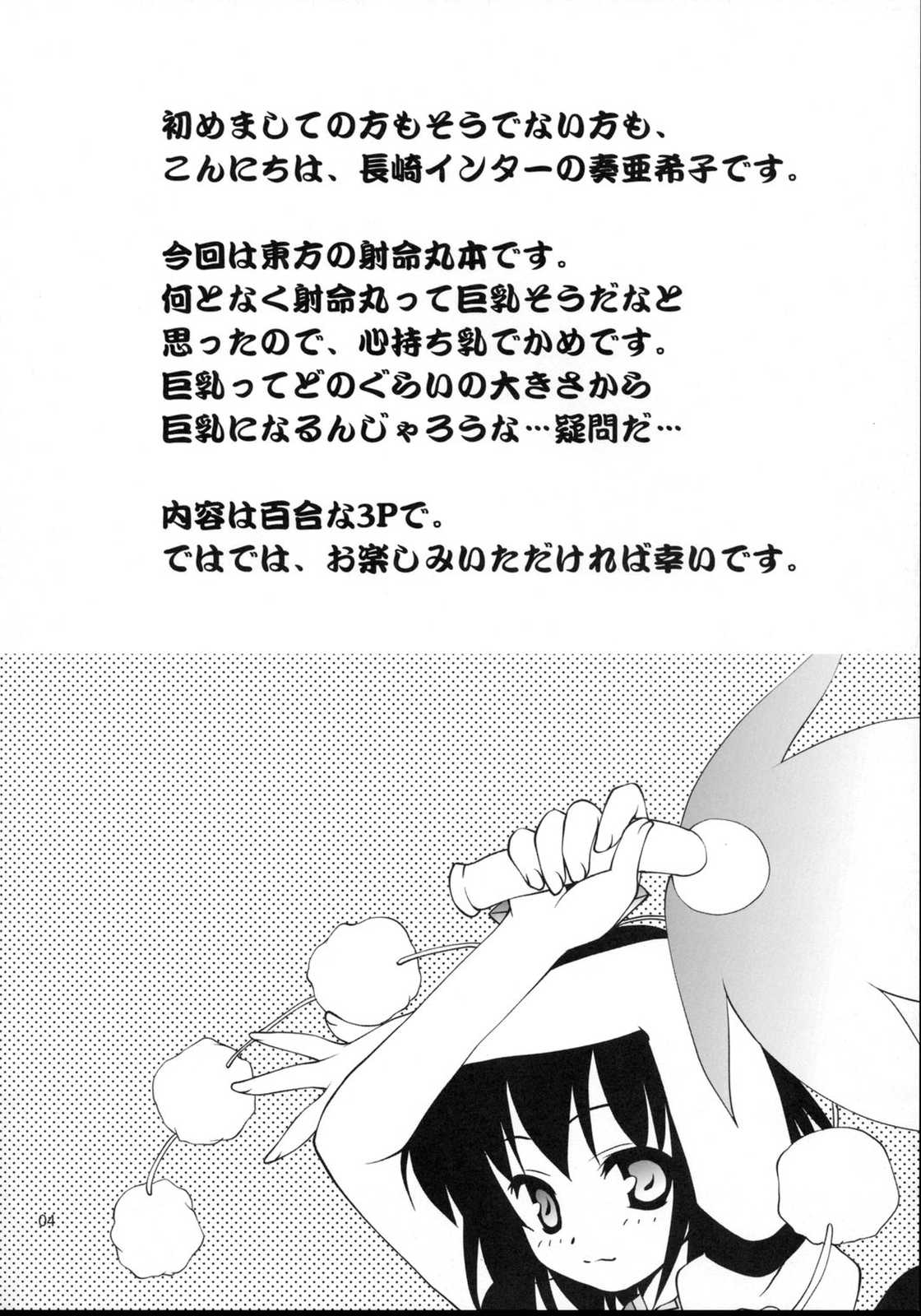 TOUHOU REC． 3ページ