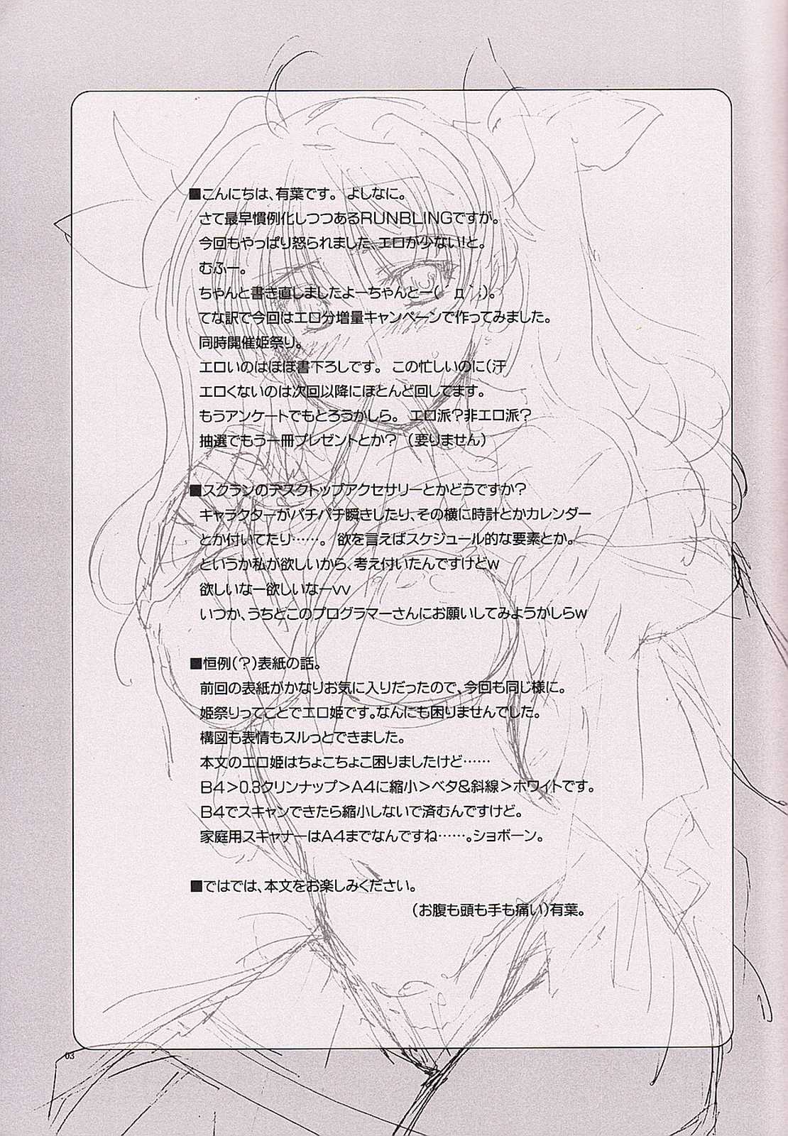 RUNBLING SCHOOL vol：003 姫祭りプラス号 2ページ