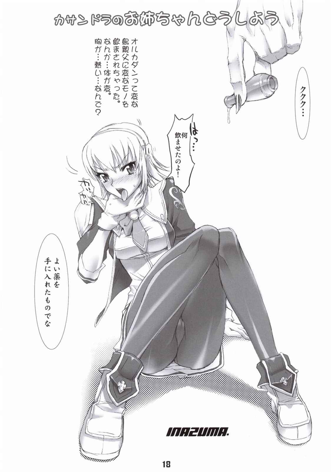 FIREBIRD 17ページ