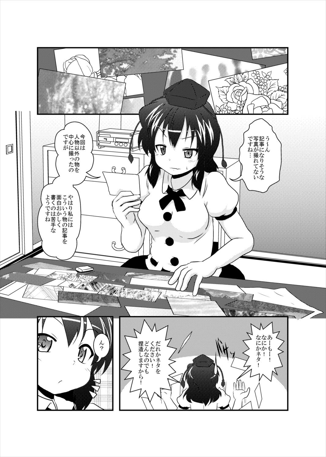 射命丸文変態化記録 2ページ