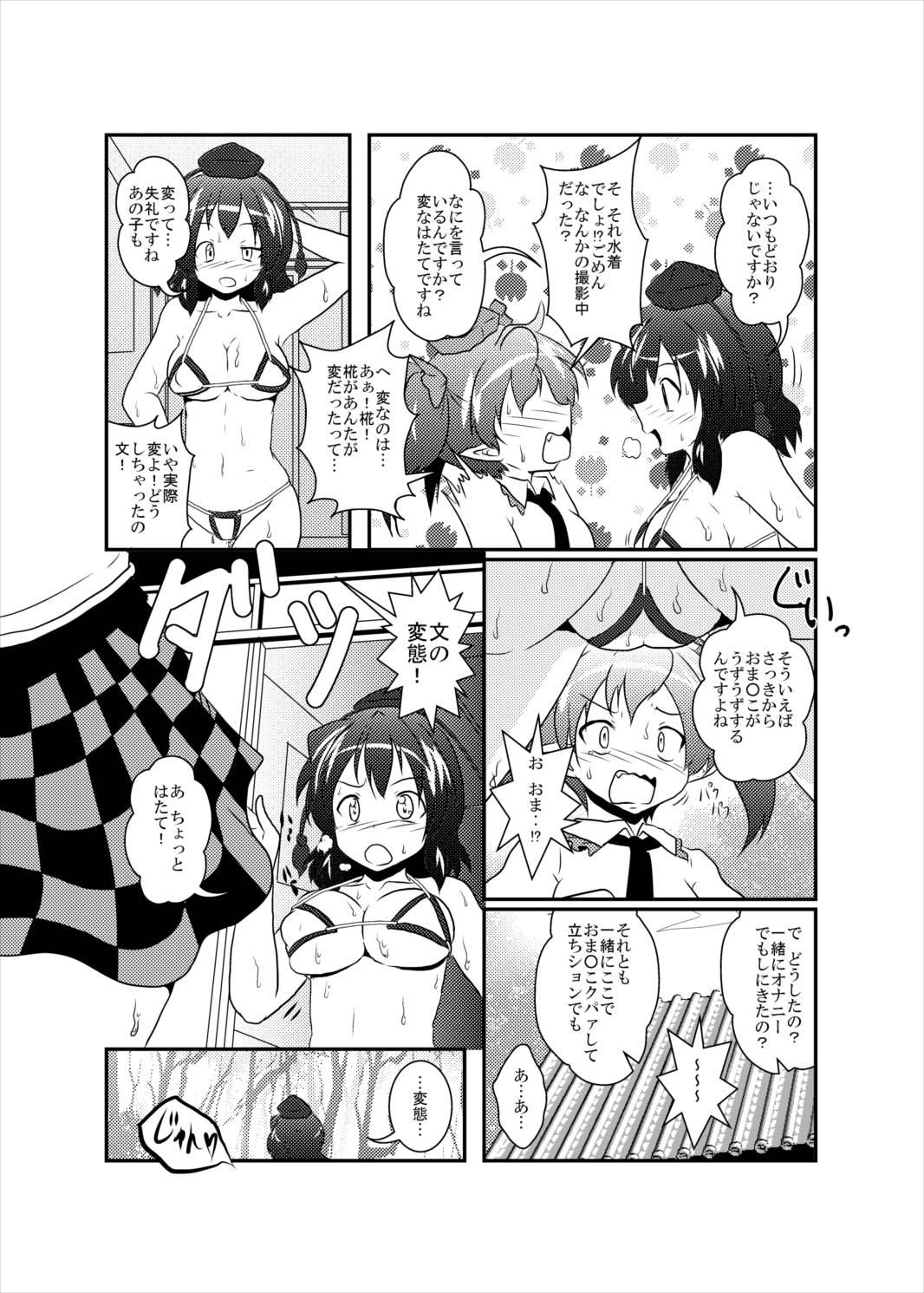 射命丸文変態化記録 16ページ