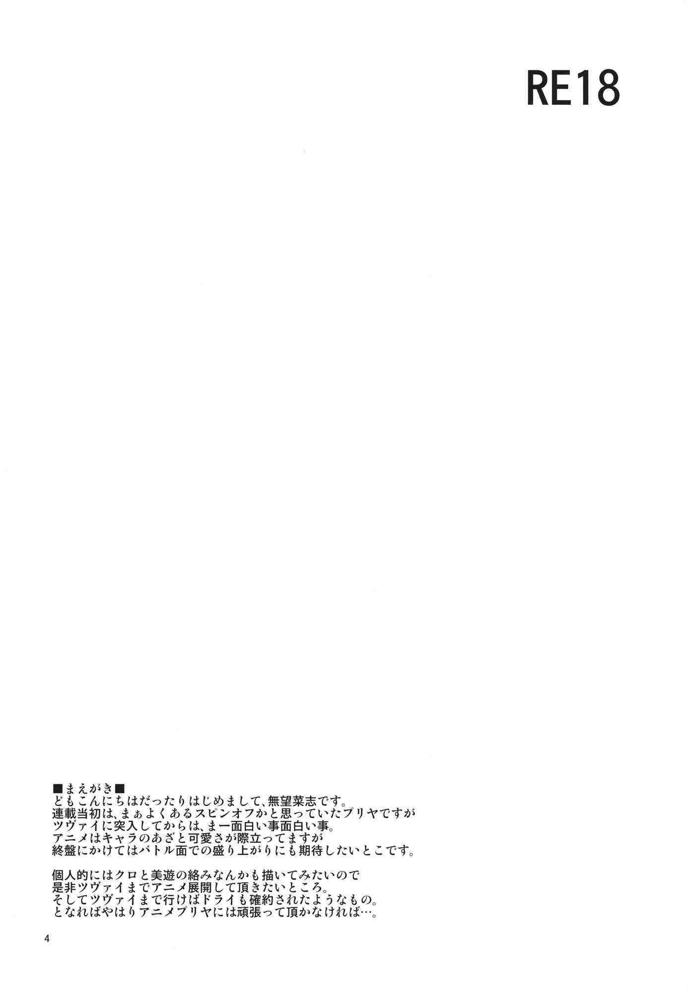 RE18 3ページ
