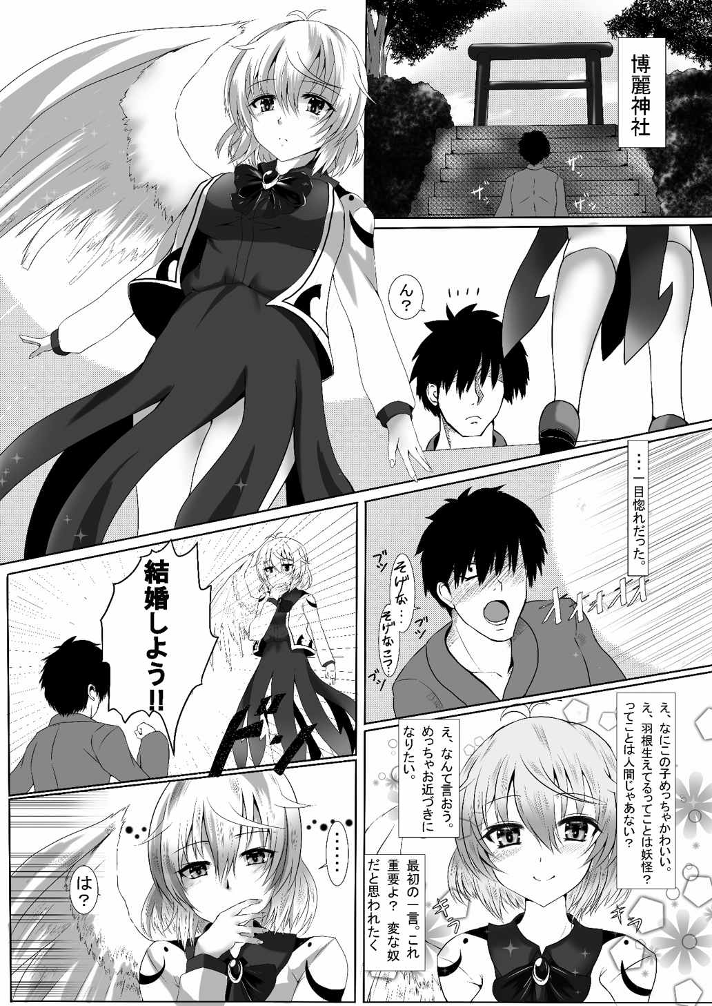 サグメ・キャプチャ 2ページ