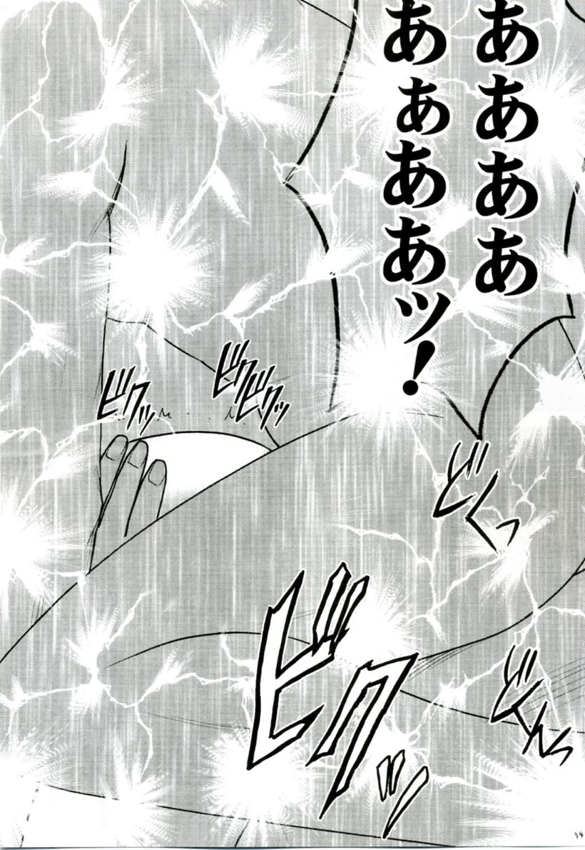大輪の華 53ページ