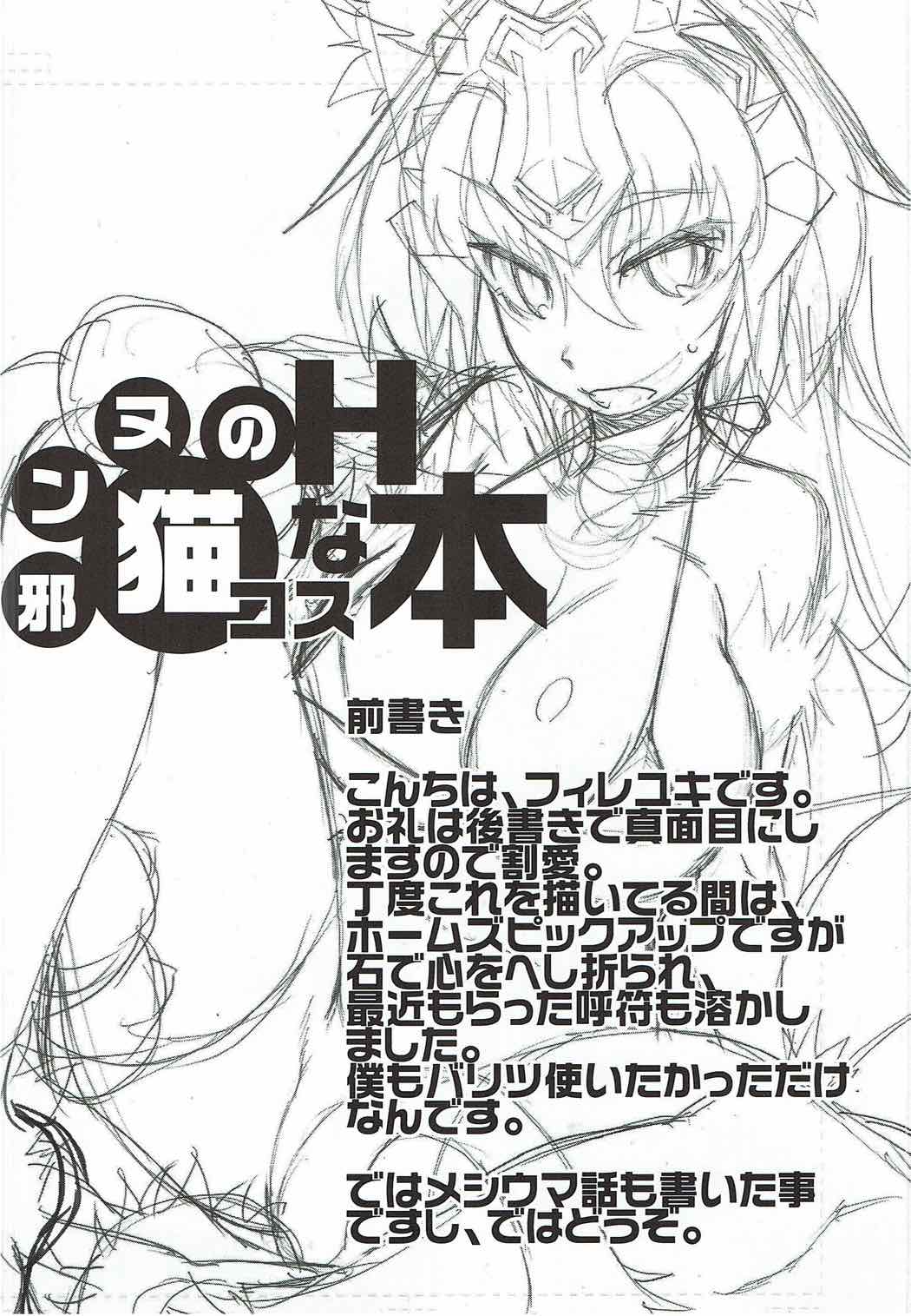 邪ンヌのHな猫コス本 3ページ
