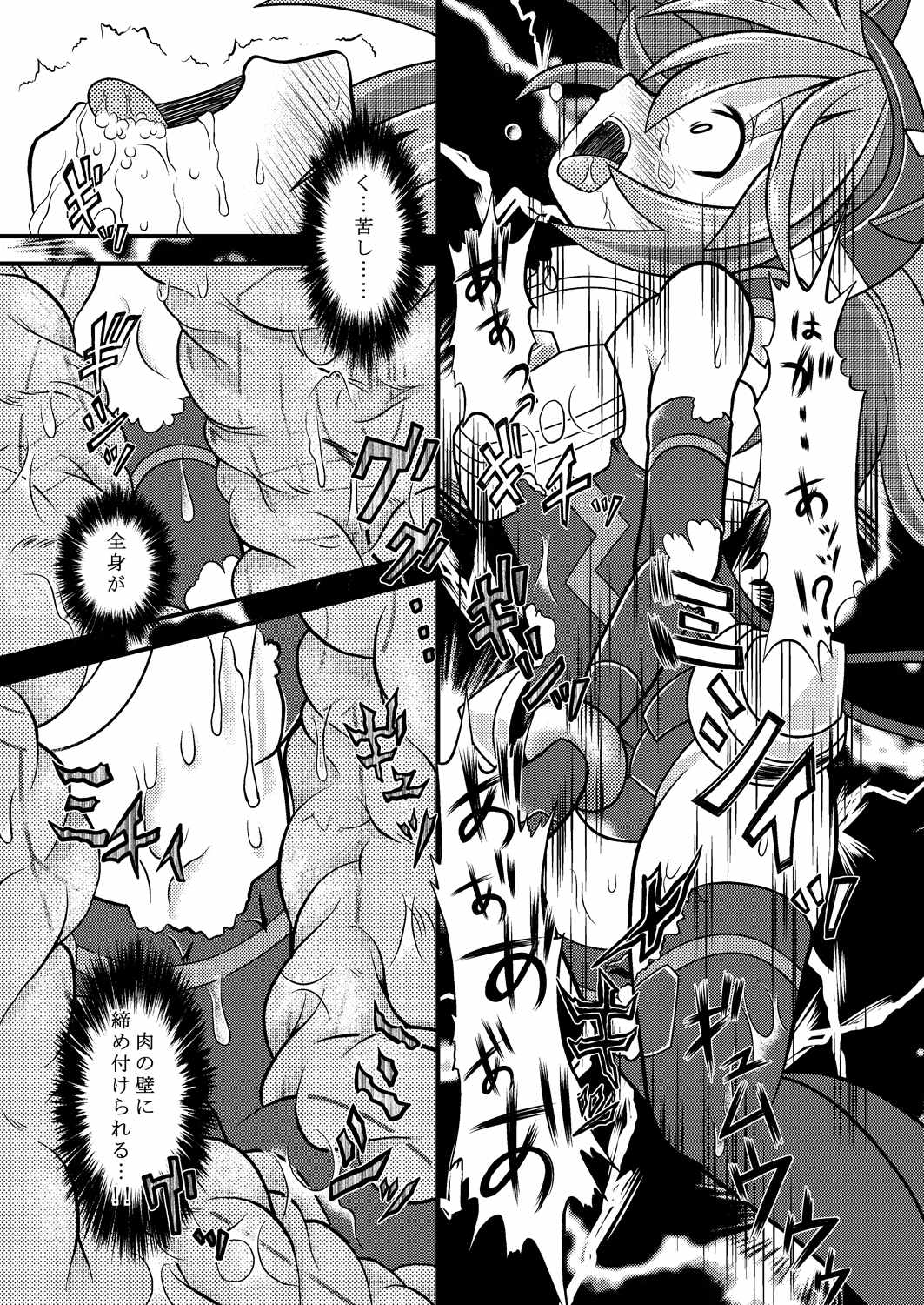 トルマリン漬け・鬼龍産 13ページ