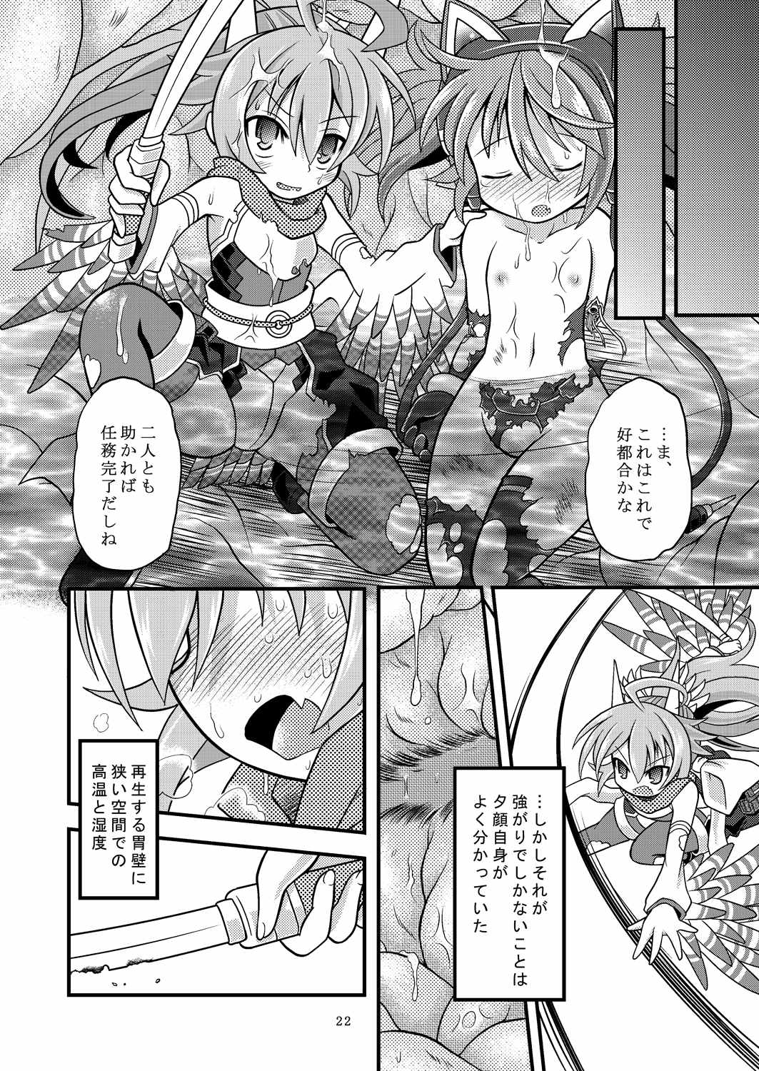 トルマリン漬け・鬼龍産 22ページ