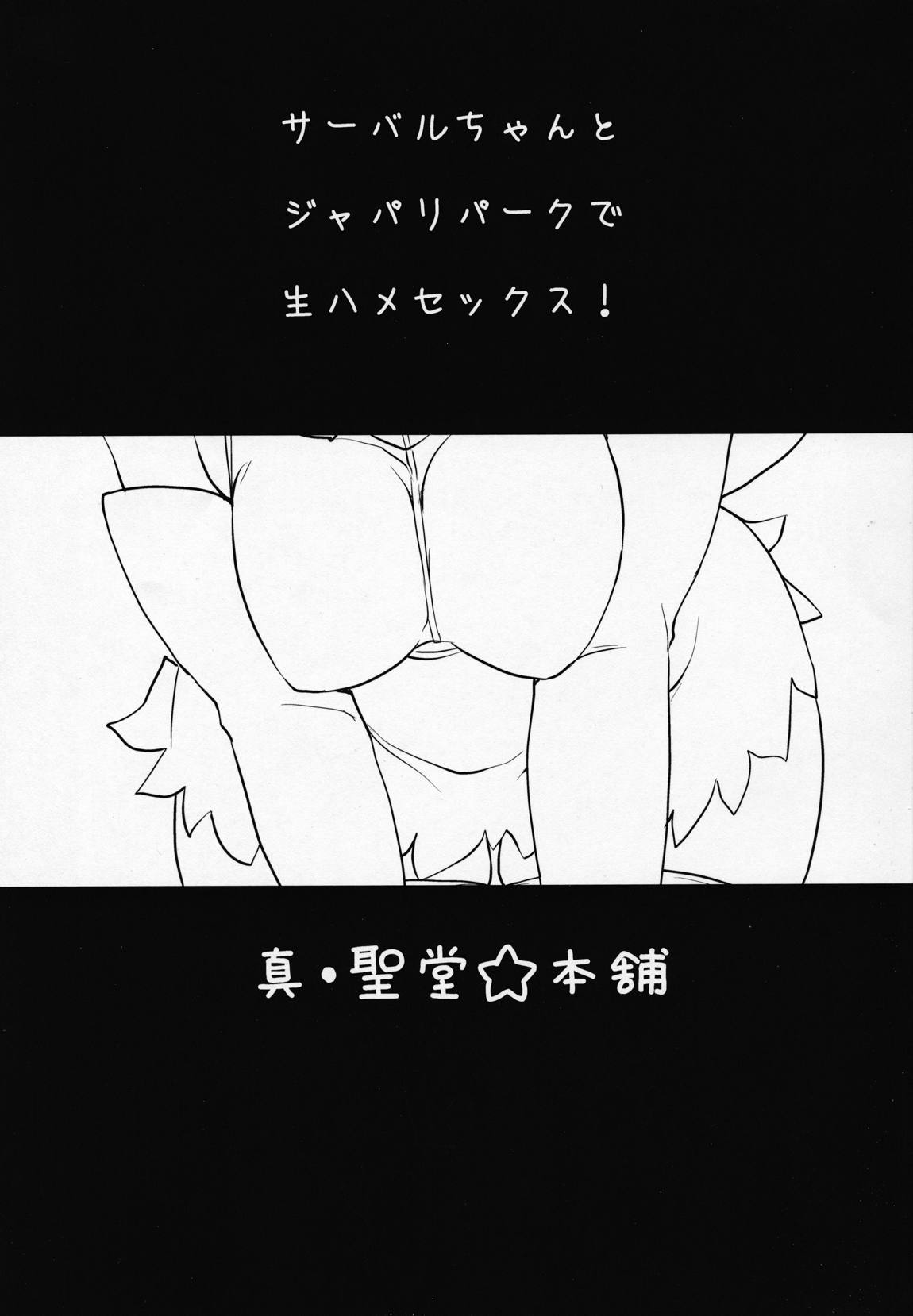 サーバルちゃんに、『繁殖のための交尾』じゃない、気持ち良くなるための『生ハメセックス』教えてあげる話。 2ページ