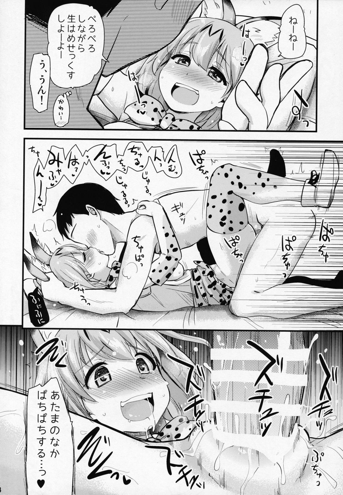 サーバルちゃんに、『繁殖のための交尾』じゃない、気持ち良くなるための『生ハメセックス』教えてあげる話。 13ページ