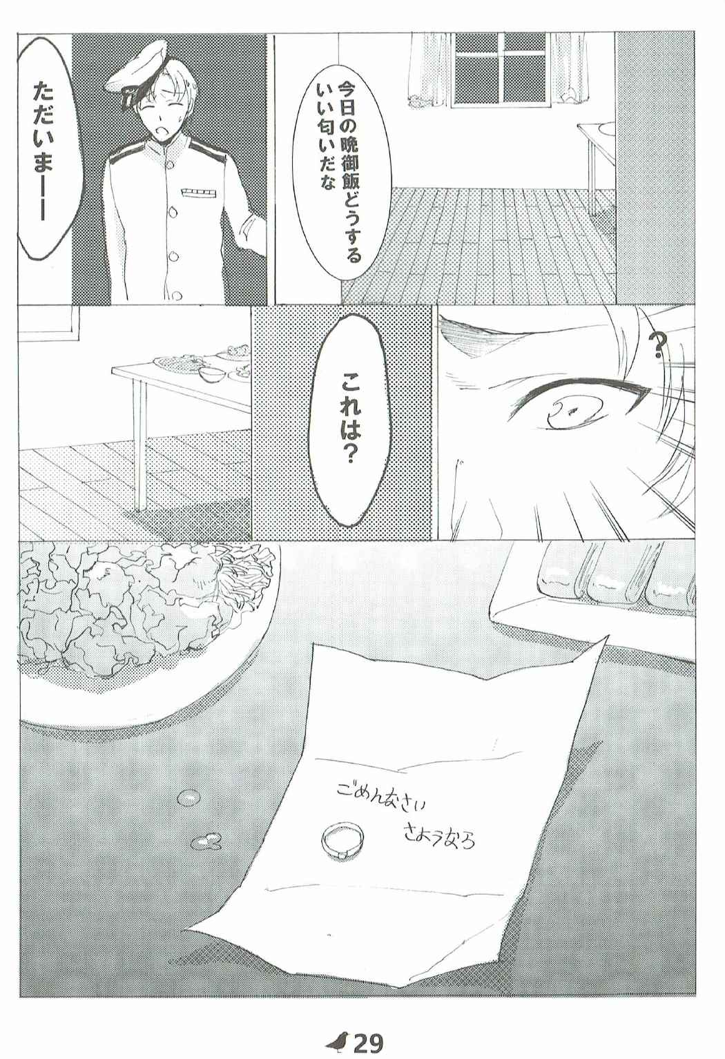 瑞鳳完全破壊記録 30ページ