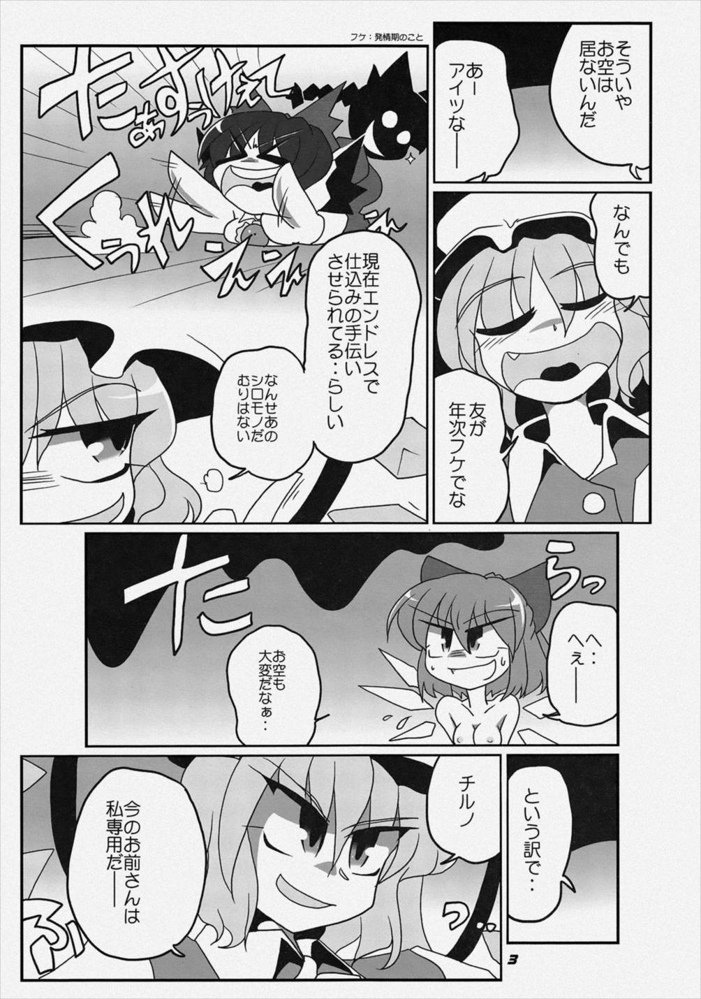TOHO N+ FCR 4ページ