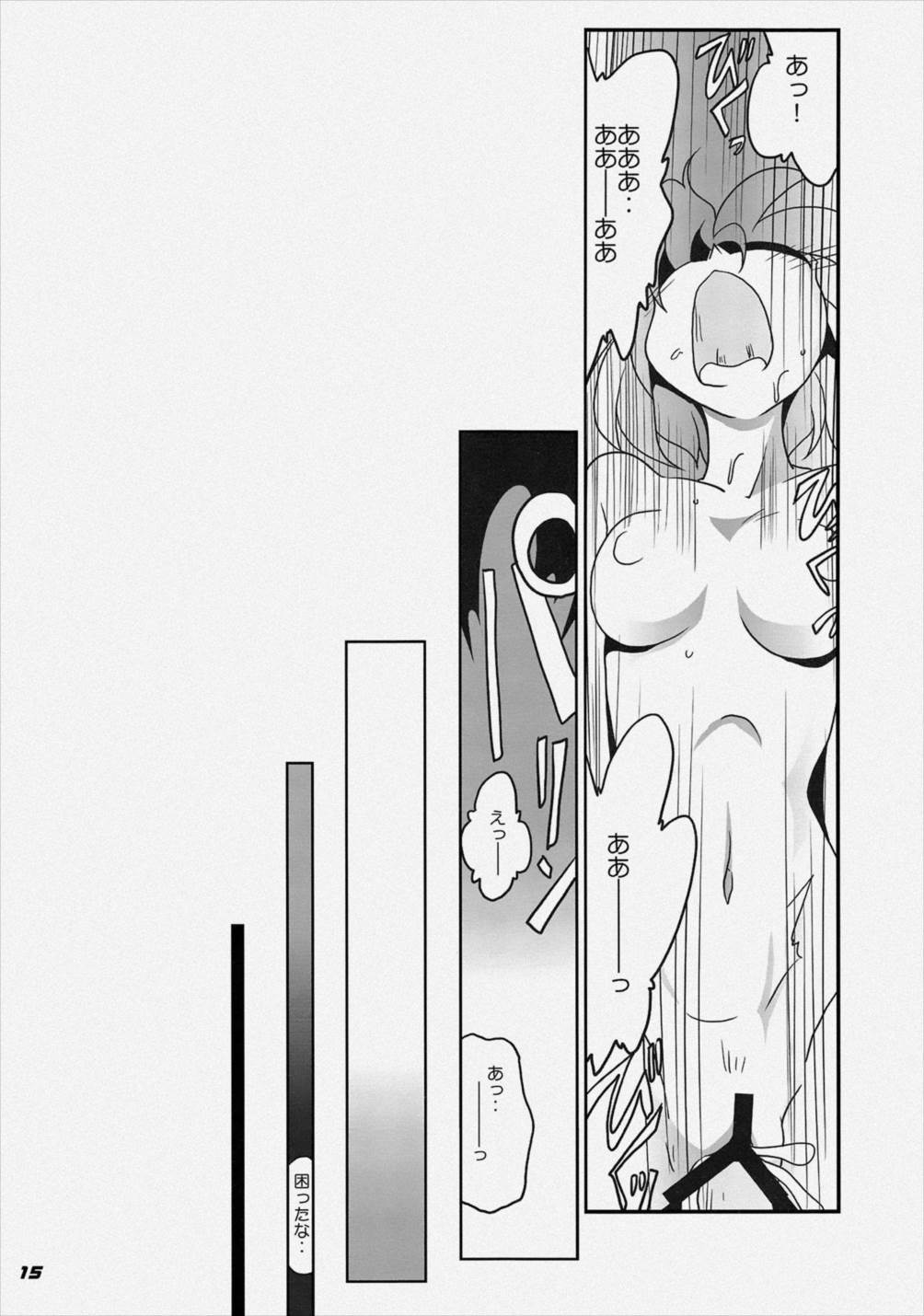TOHO N+ FCR 16ページ