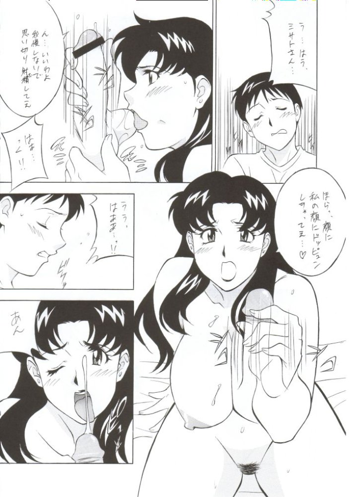 NEXT Climax Magazine 10 Evangelion 11ページ