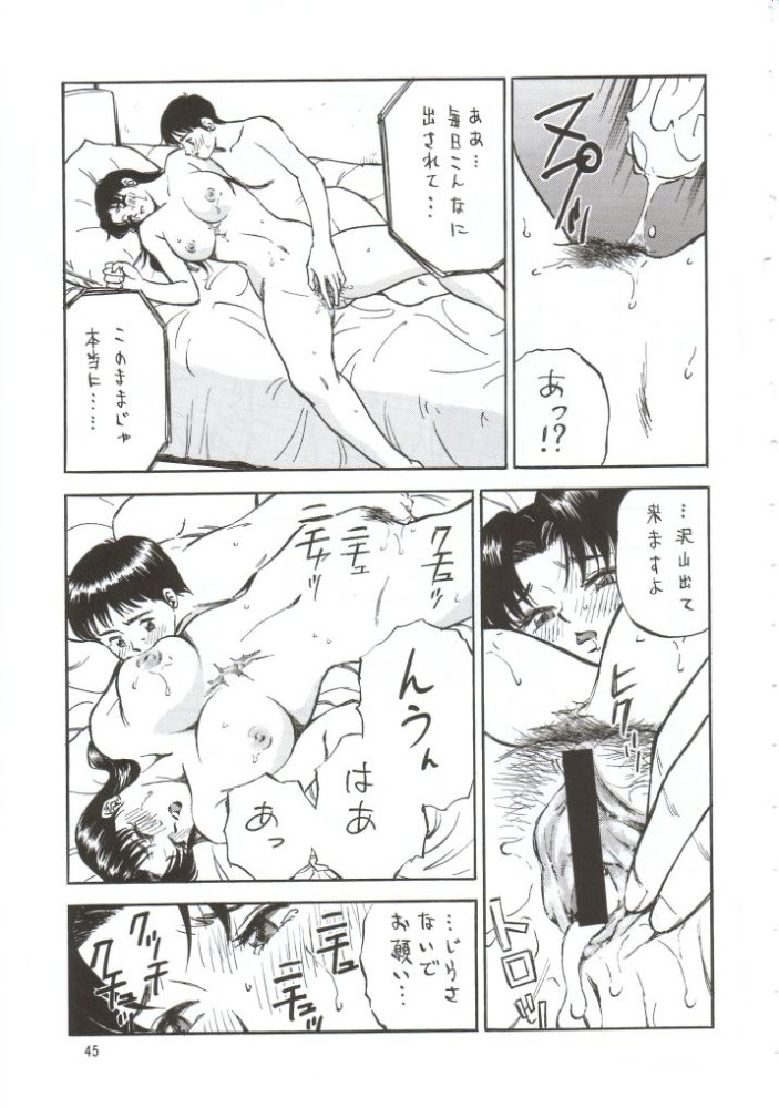 NEXT Climax Magazine 10 Evangelion 44ページ