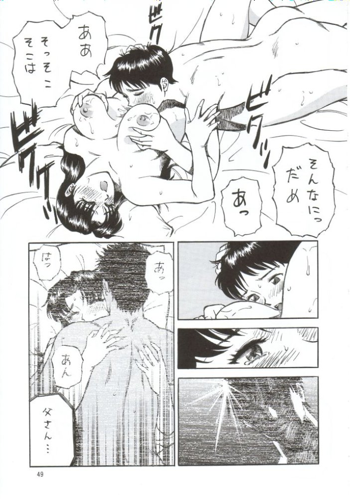 NEXT Climax Magazine 10 Evangelion 48ページ