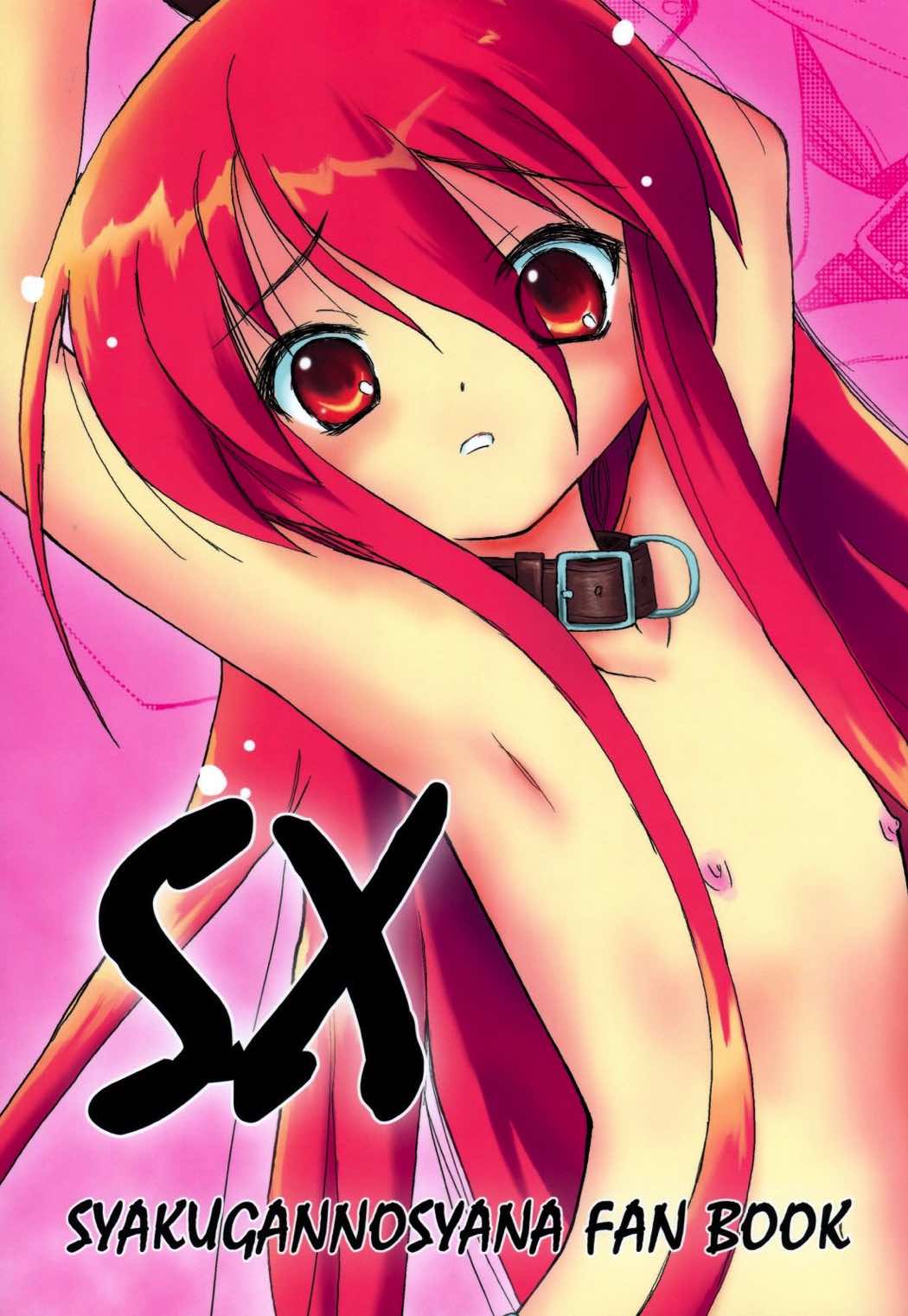 SX 1ページ