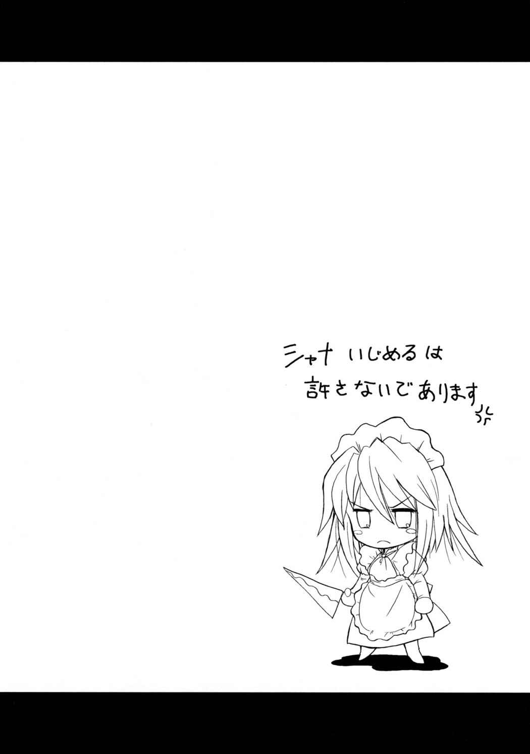 SX 21ページ