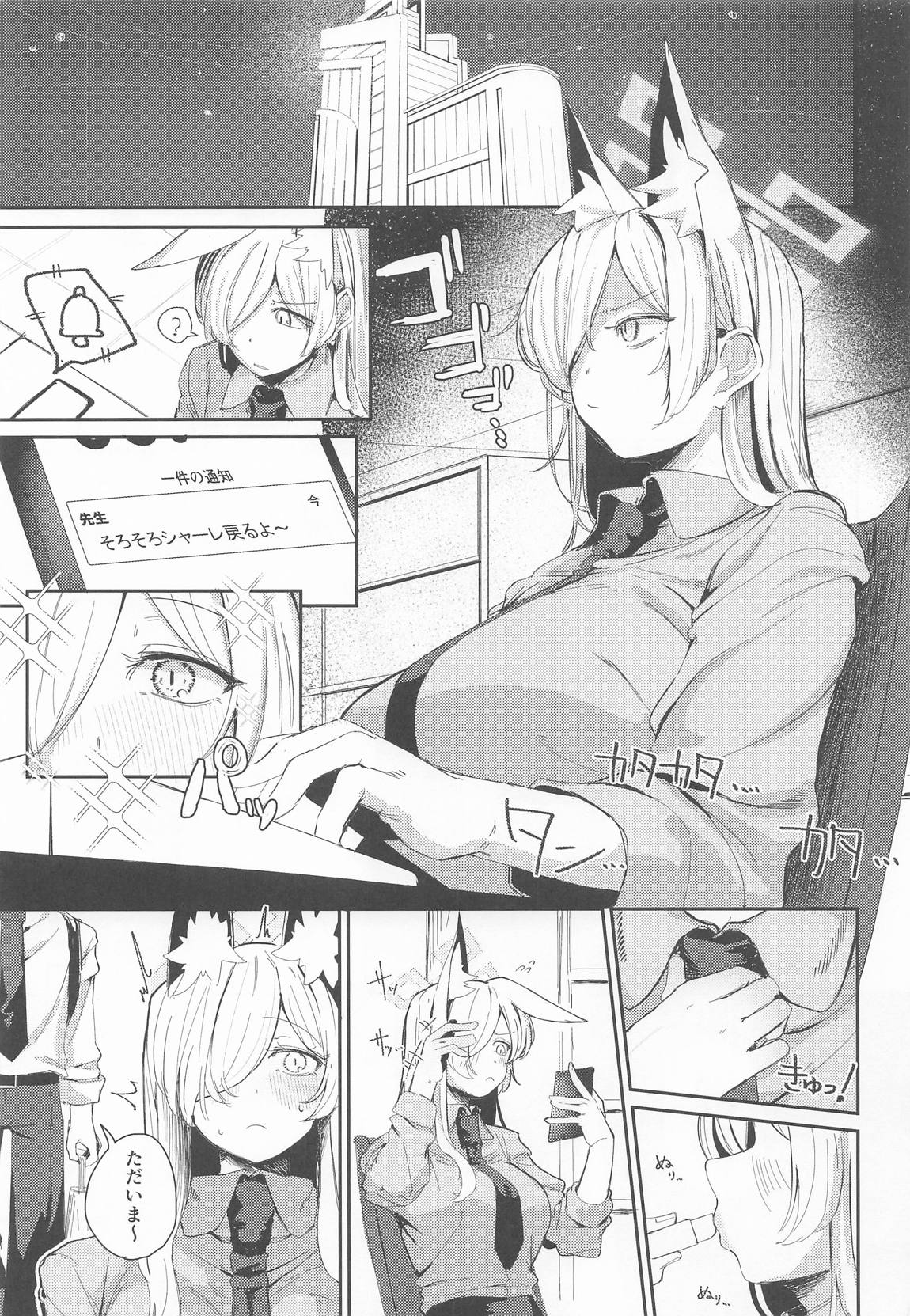 贈り物の使い方 2ページ