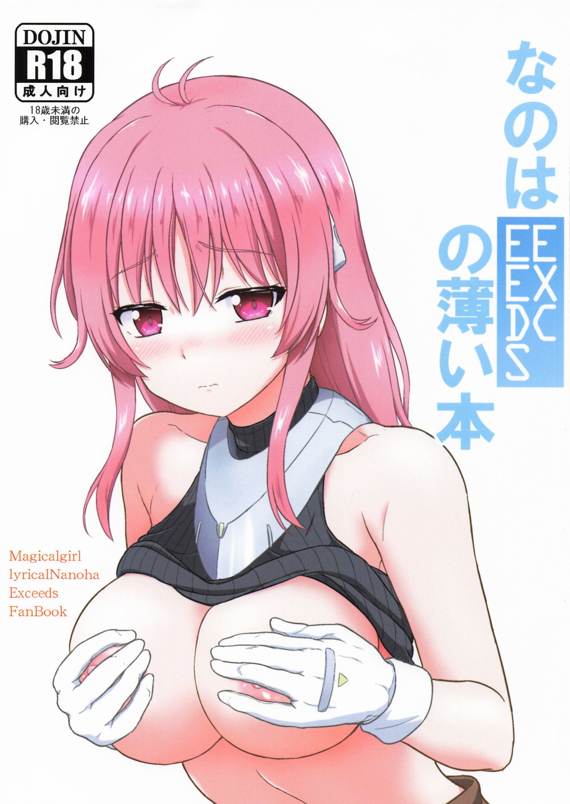 なのはEXCEEDSの薄い本 1ページ