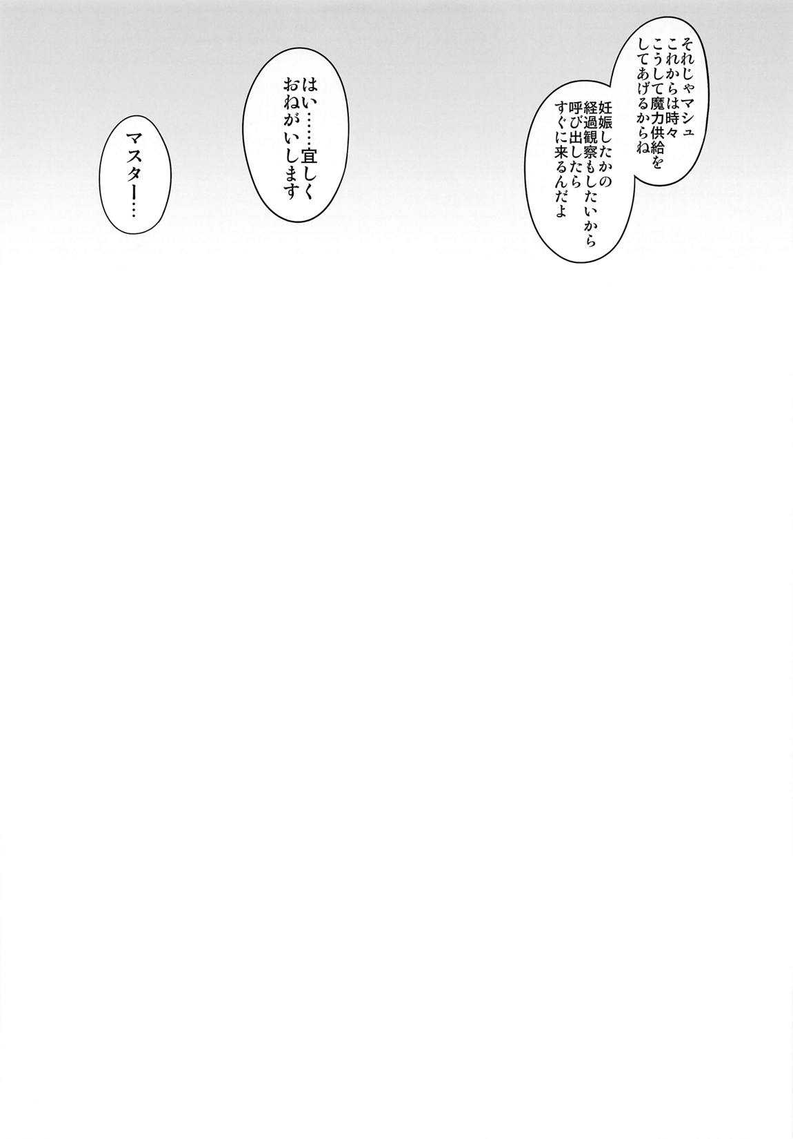 誰も知らないマシュの記録 12ページ