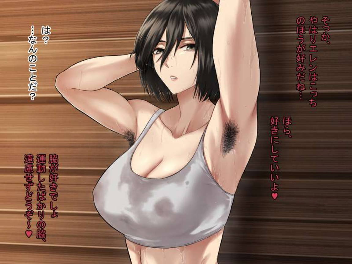 Mikasa set 12ページ