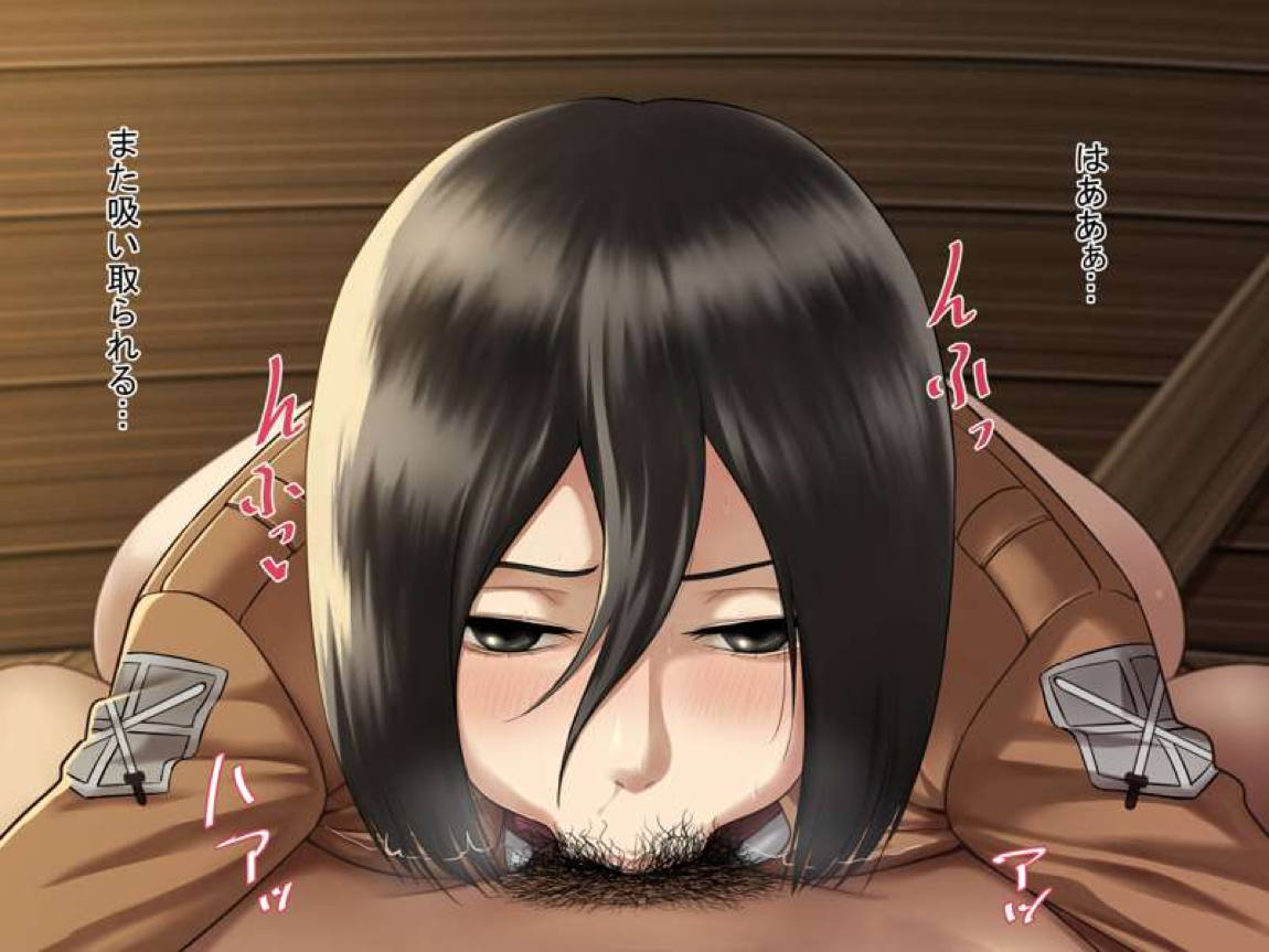 Mikasa set 50ページ