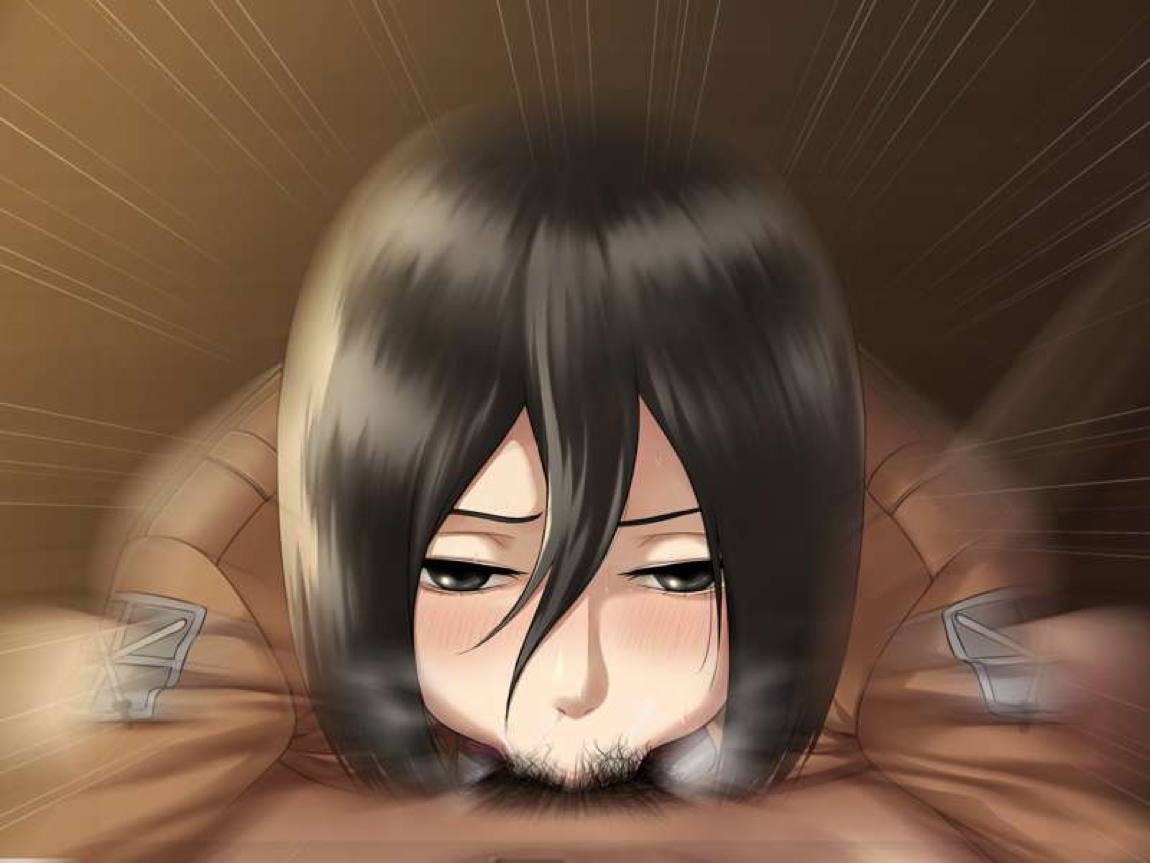 Mikasa set 65ページ
