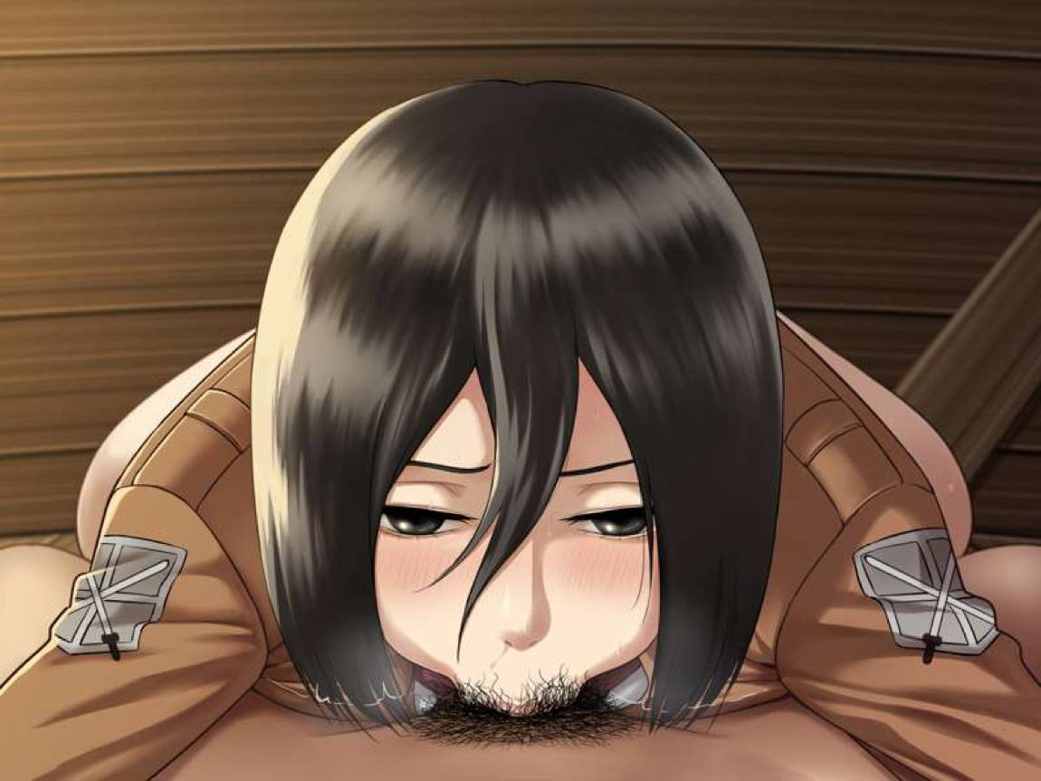 Mikasa set 66ページ