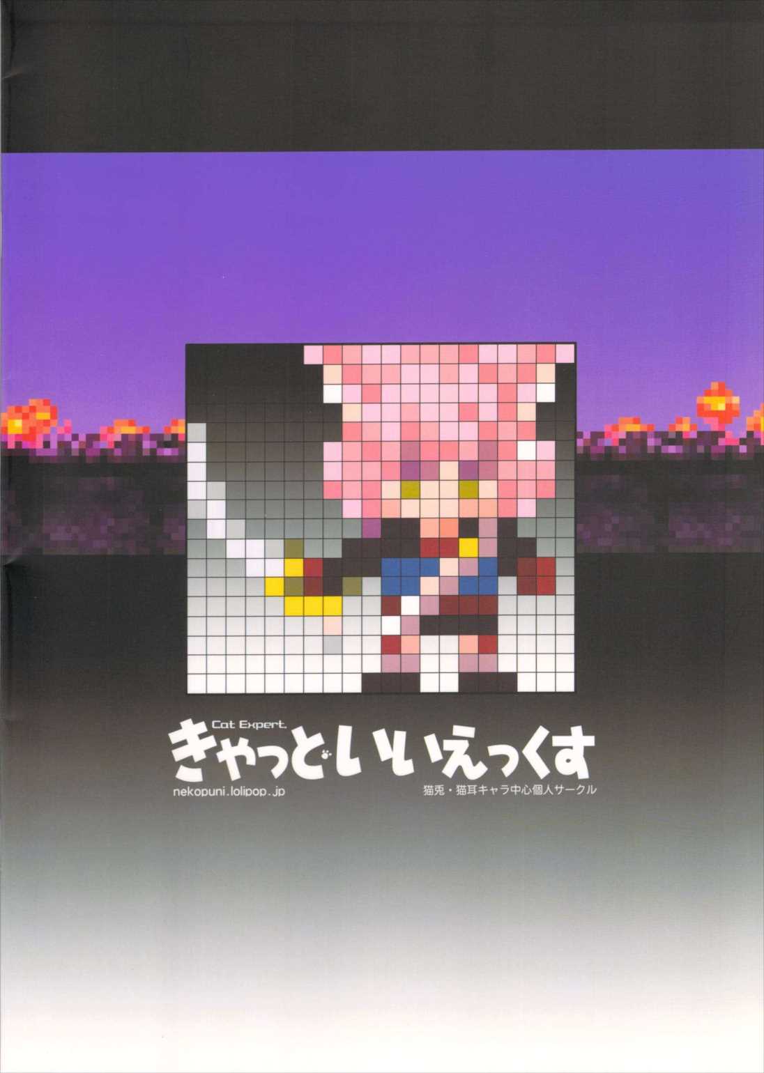 ルシェのくせになまいきだ。 13ページ