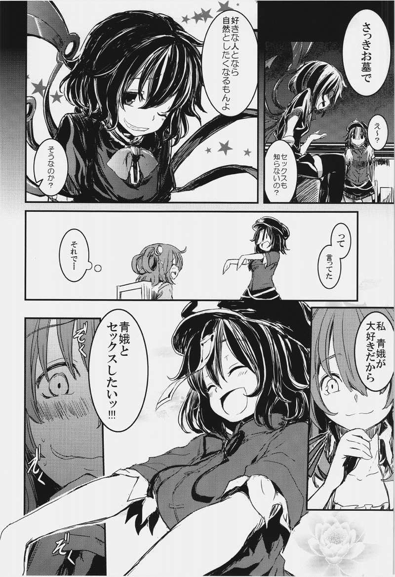 これはエロ本ですか？ そう、神霊廟無知ックス本 5ページ