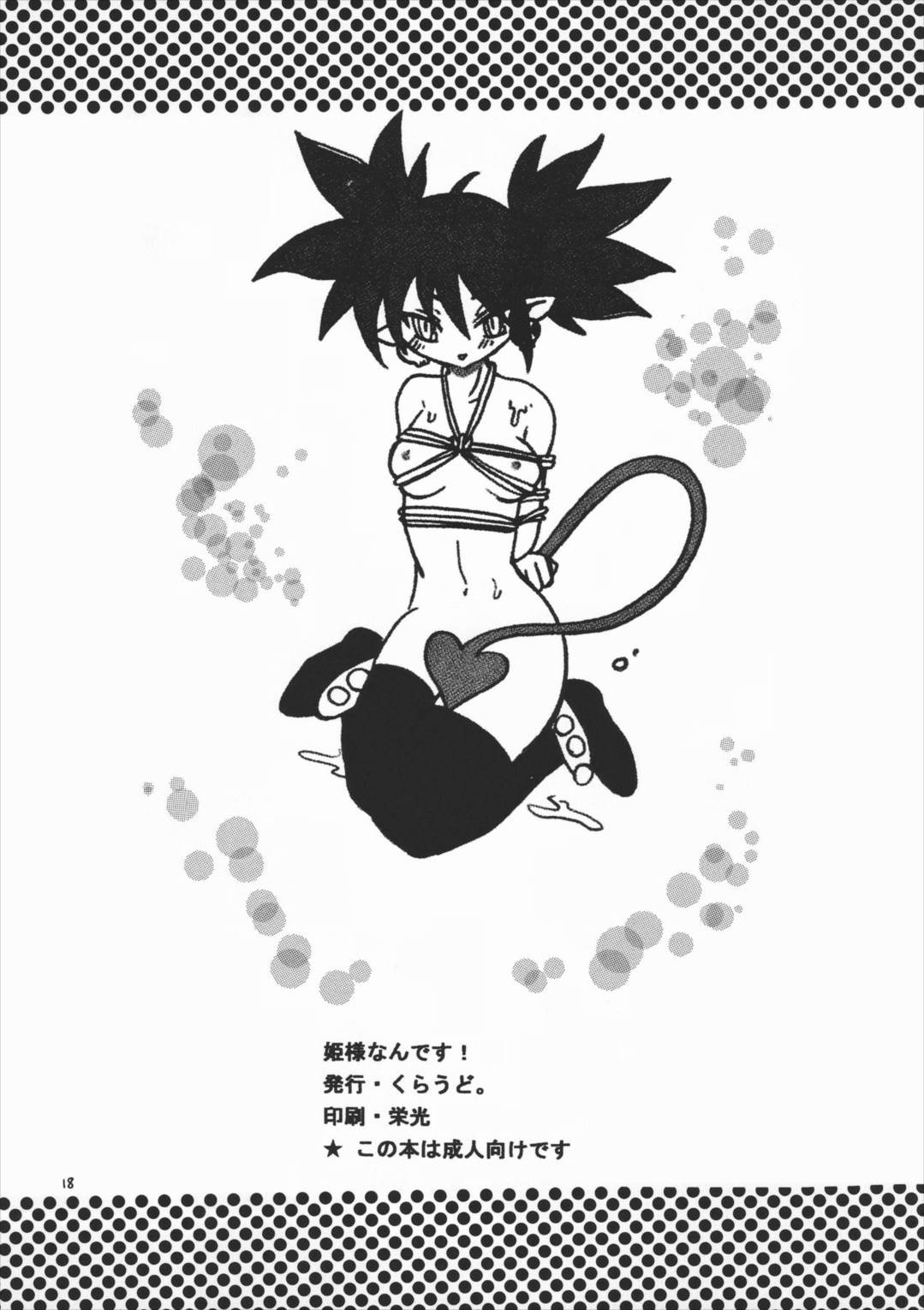 姫様なんです! 18ページ