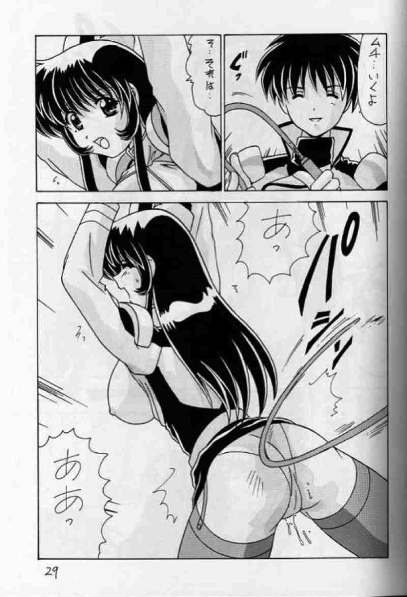 なでなでしこしこ７ 28ページ