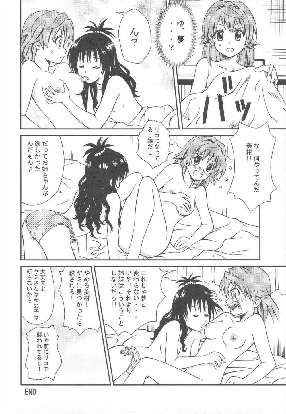 ToLoveちっくふぁくとりぃ 20ページ