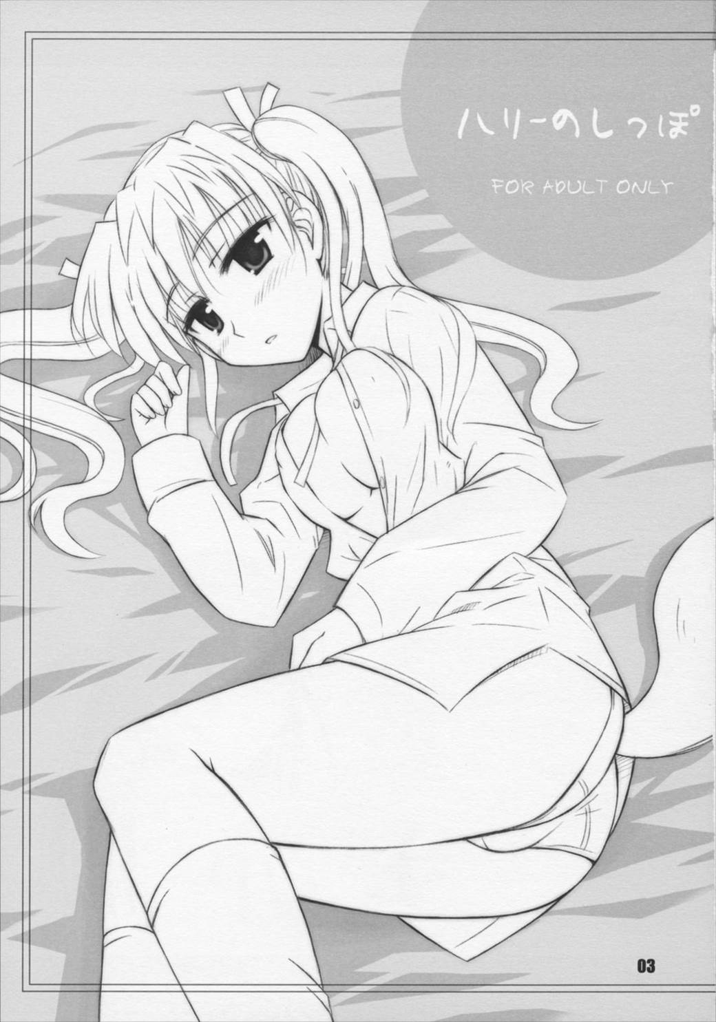 ハリーのしっぽ 2ページ