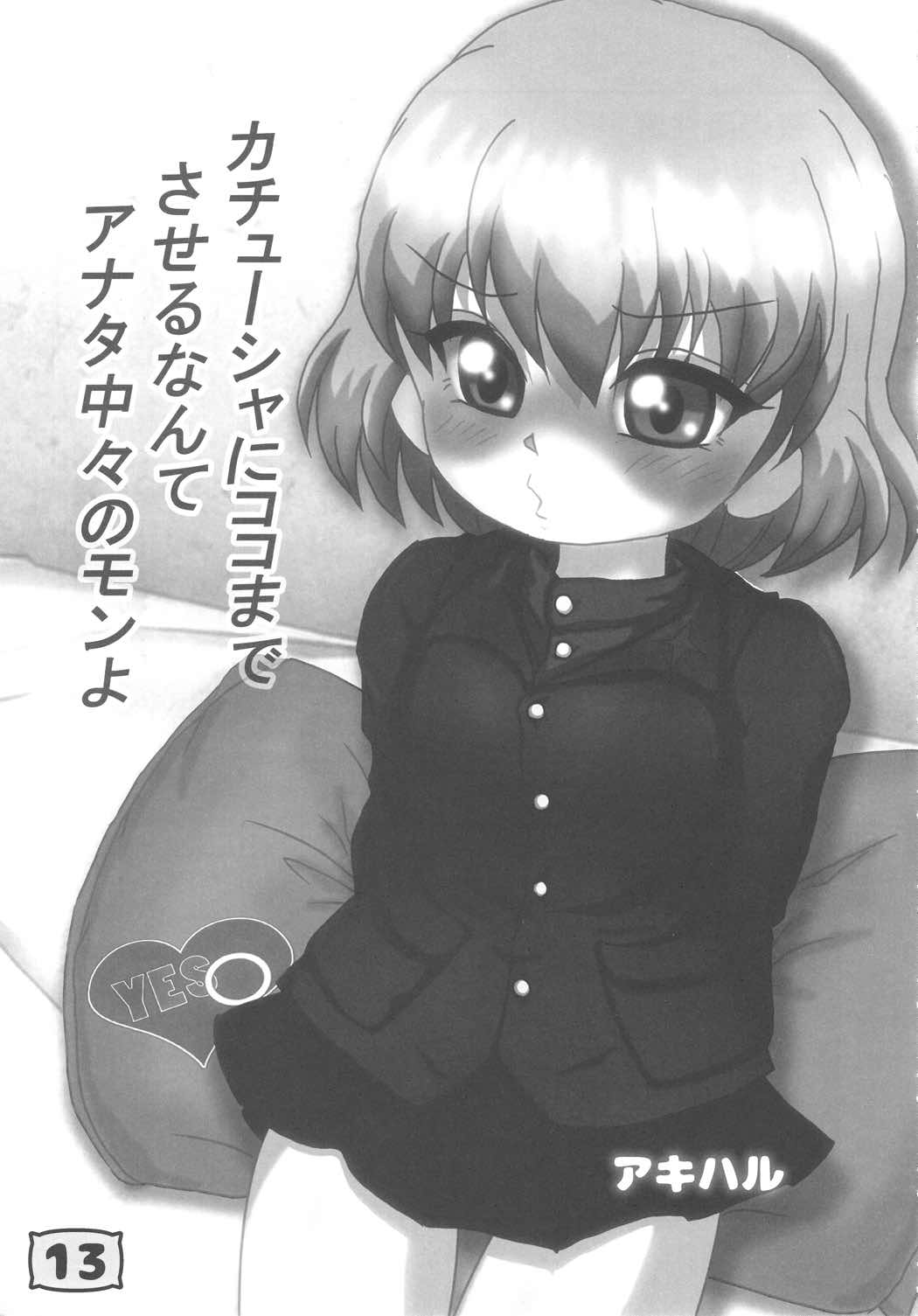 ガルパンYESNOまくら合同誌 12ページ
