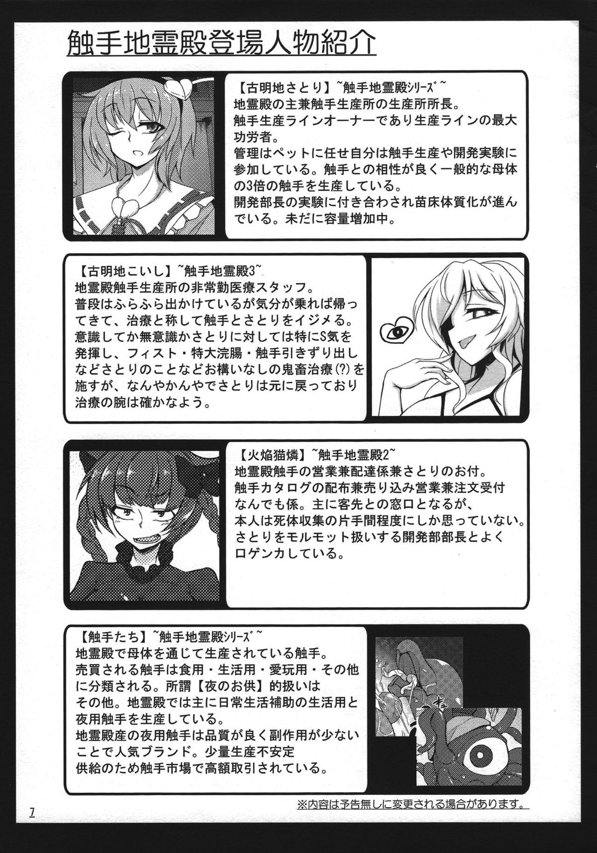 触手地霊殿外伝 〜ふたなり改造実験録〜 8ページ