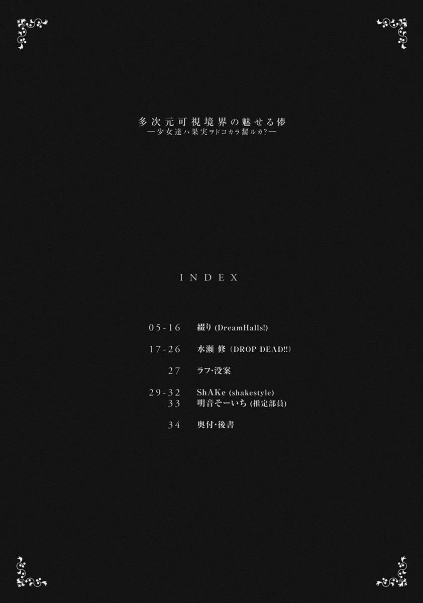 多次元可視境界の魅せる儚 3ページ