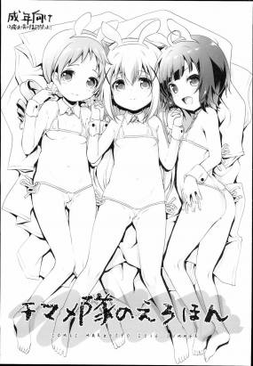 ちまめ隊のえろほん