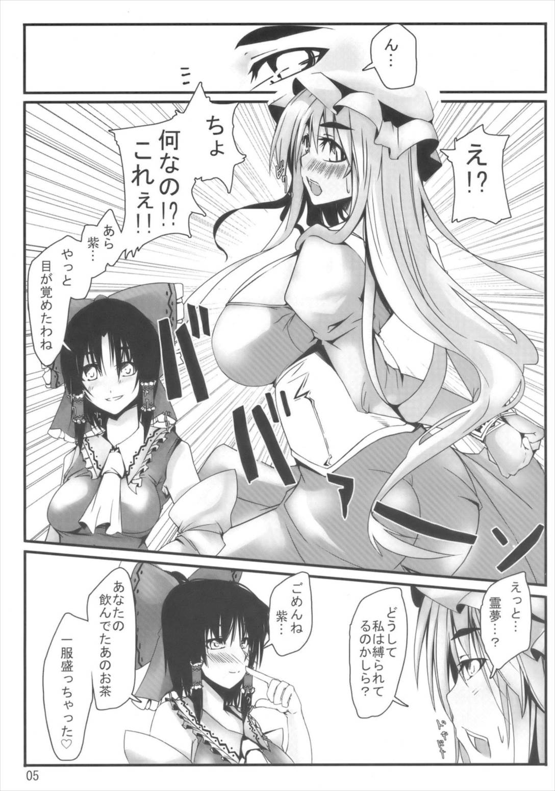 東方妄想郷 13 5ページ