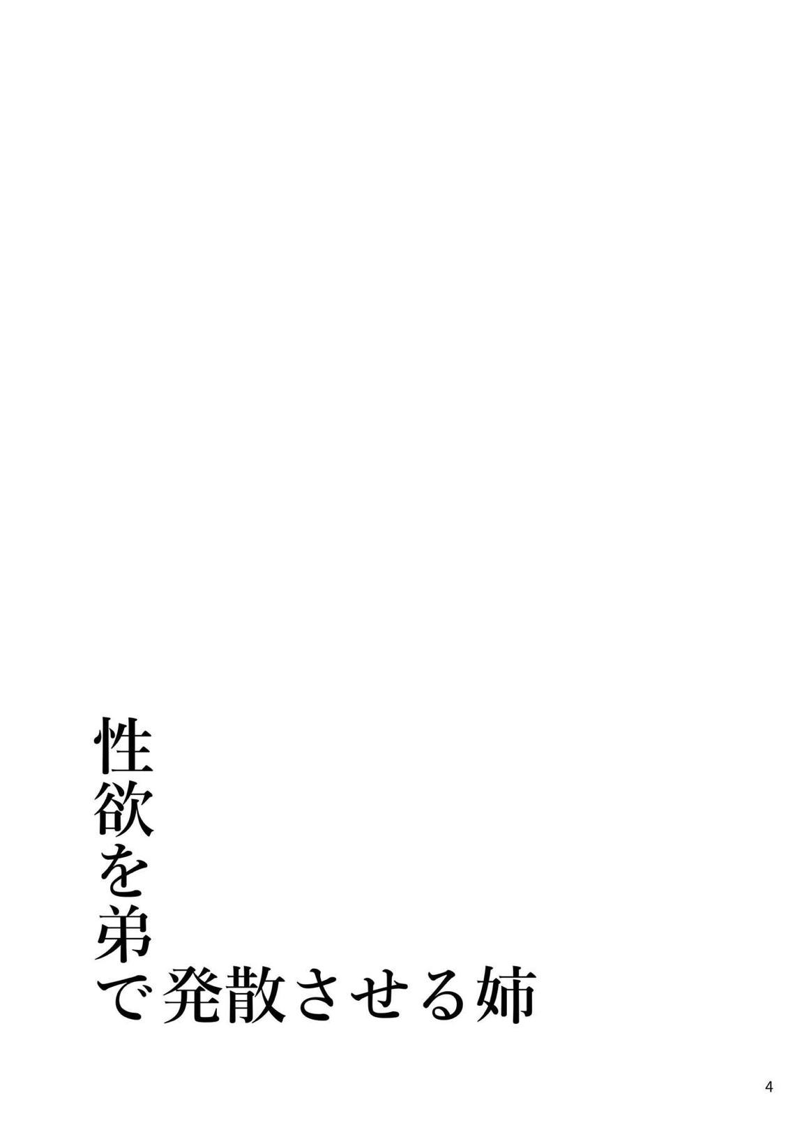 性欲を弟で発散させる姉 3ページ