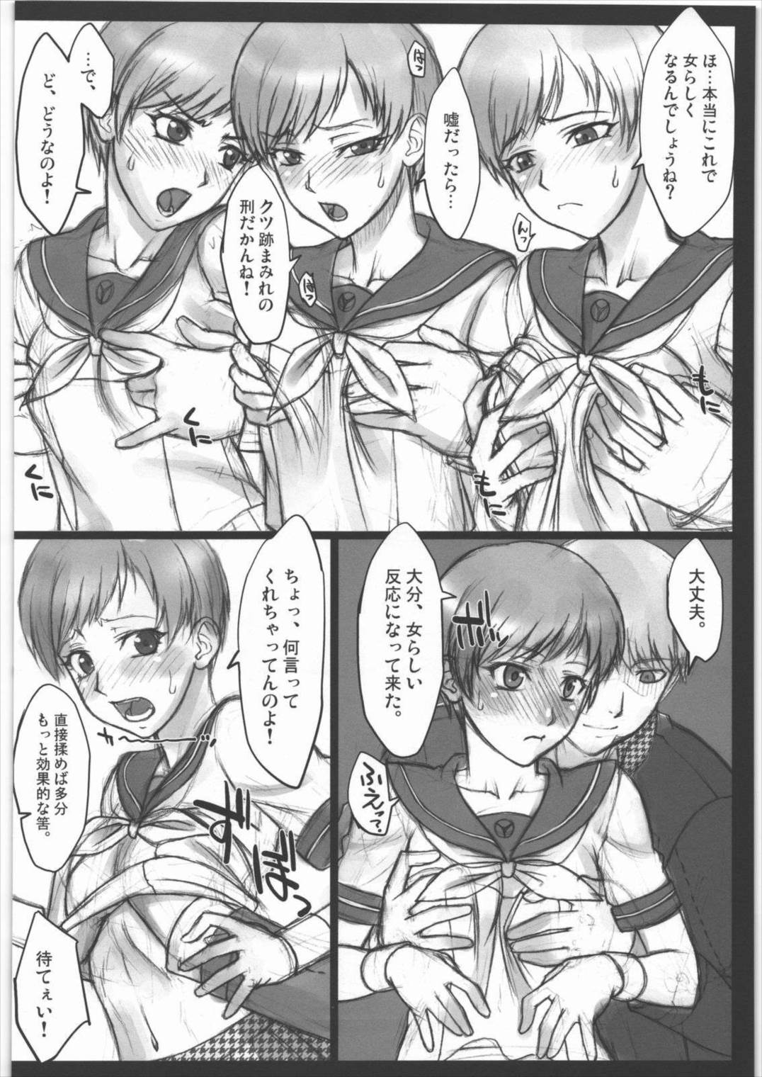 Pesorna 3ページ