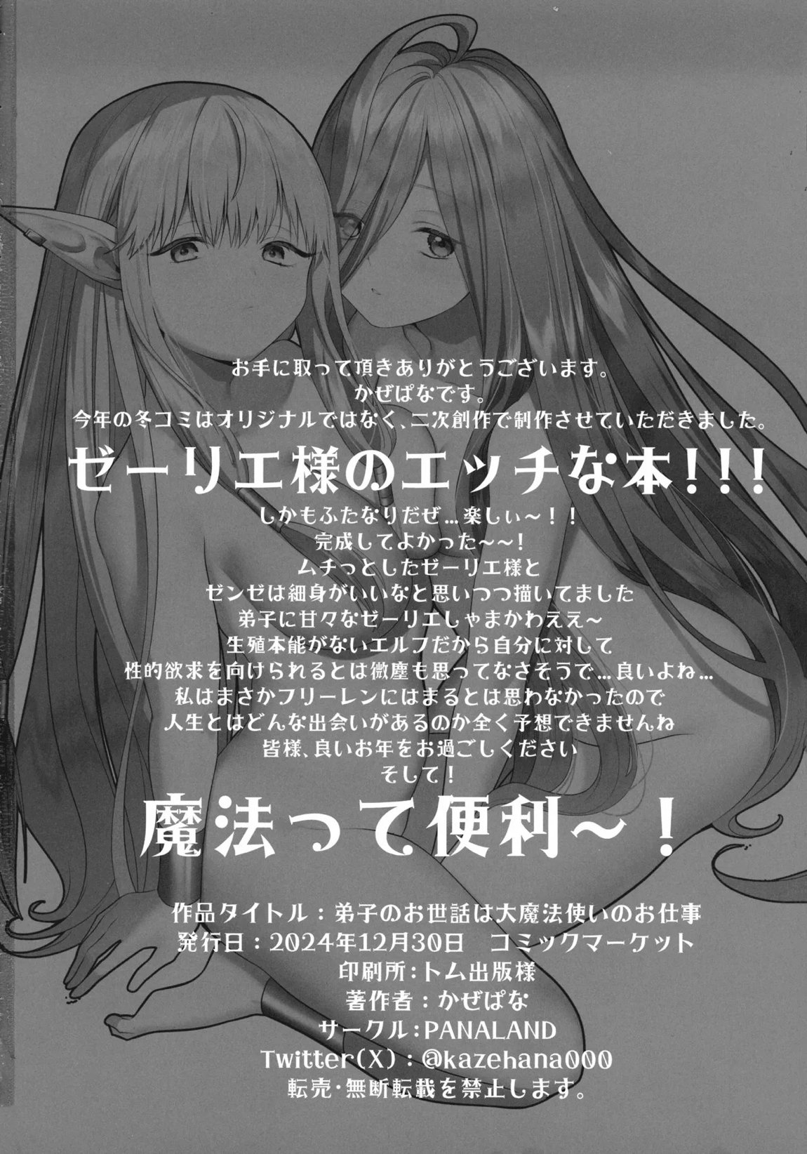 弟子のお世話は大魔法使いのお仕事 29ページ