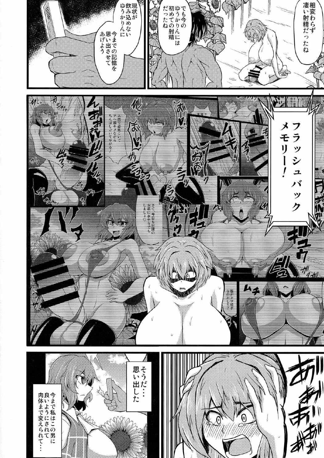 幻想催鎮物語 Ver.2 9ページ