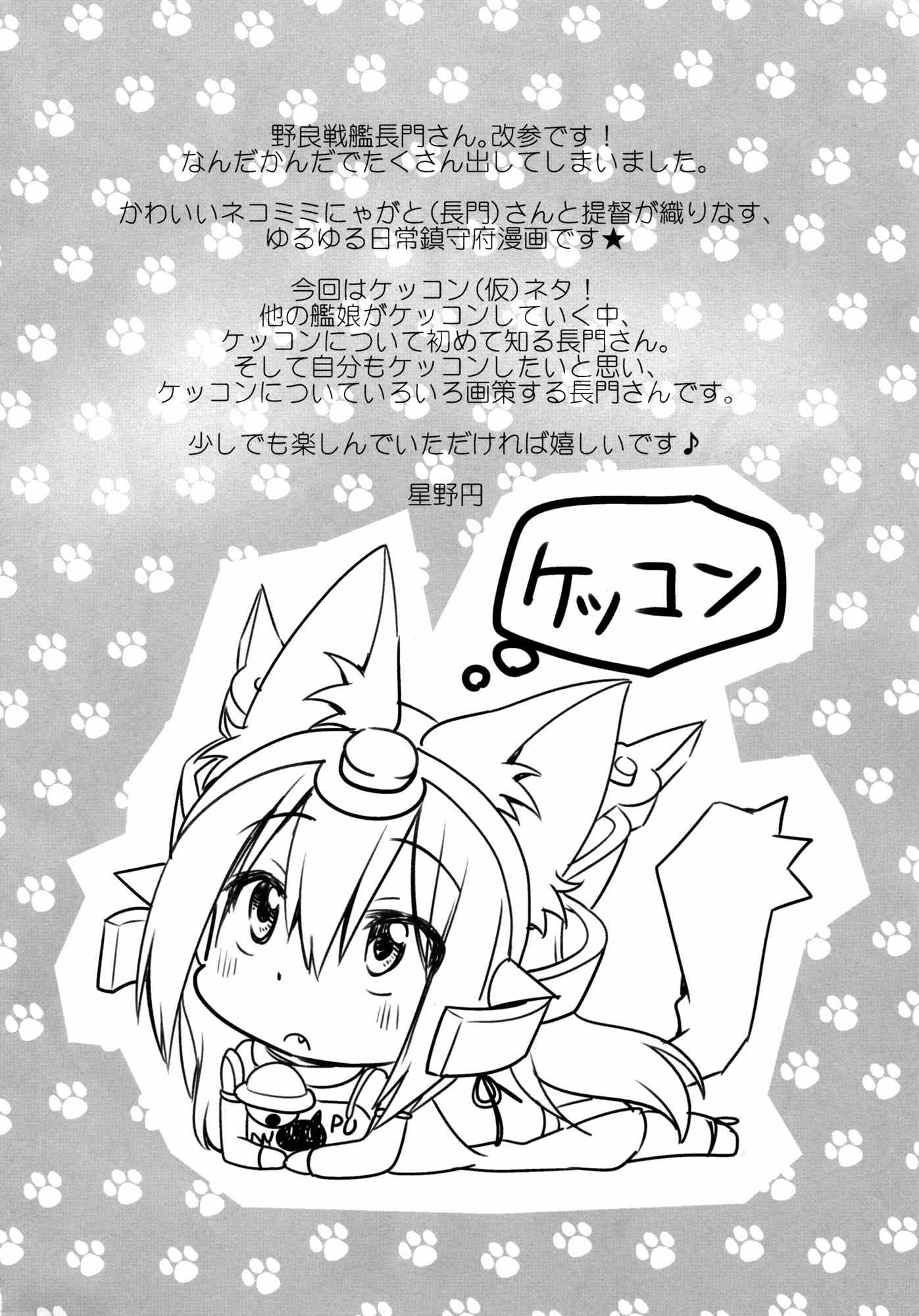 野良戦艦長門さん。改参 3ページ