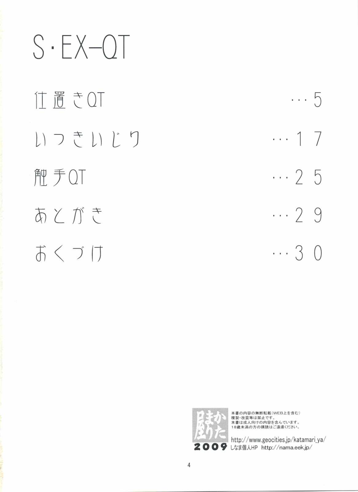 S・EX-QT 3ページ