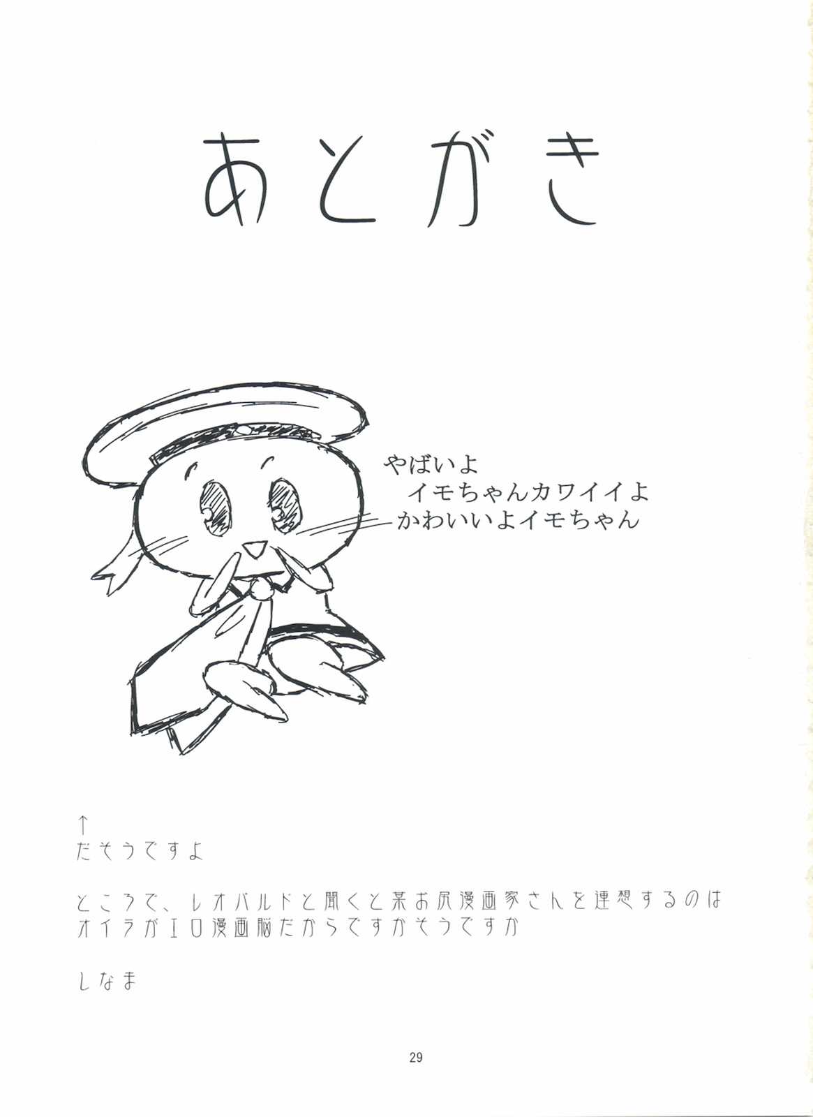 S・EX-QT 28ページ